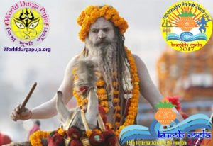 sadhu-naga_20161228095825874